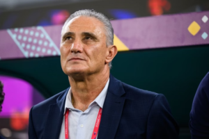 Tite, Botafogo