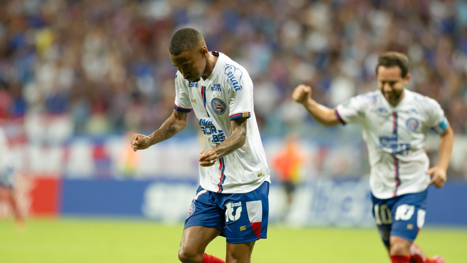Bahia Libertadores