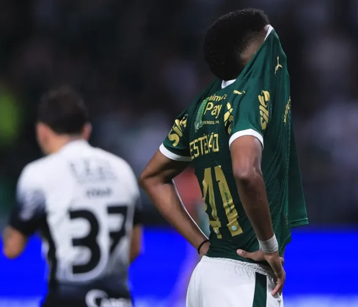 Estêvão Palmeiras