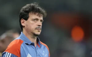 Fernando Diniz, Botafogo