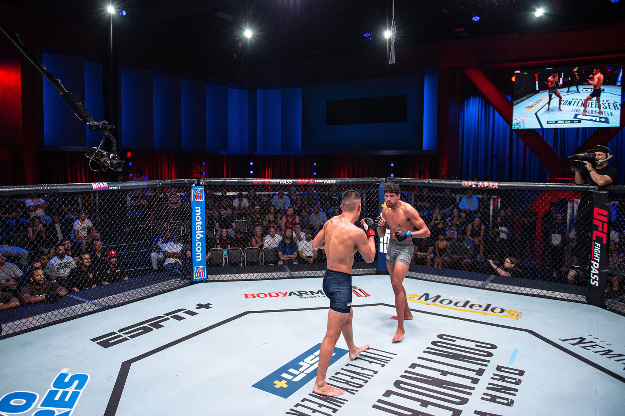 UFC Apex