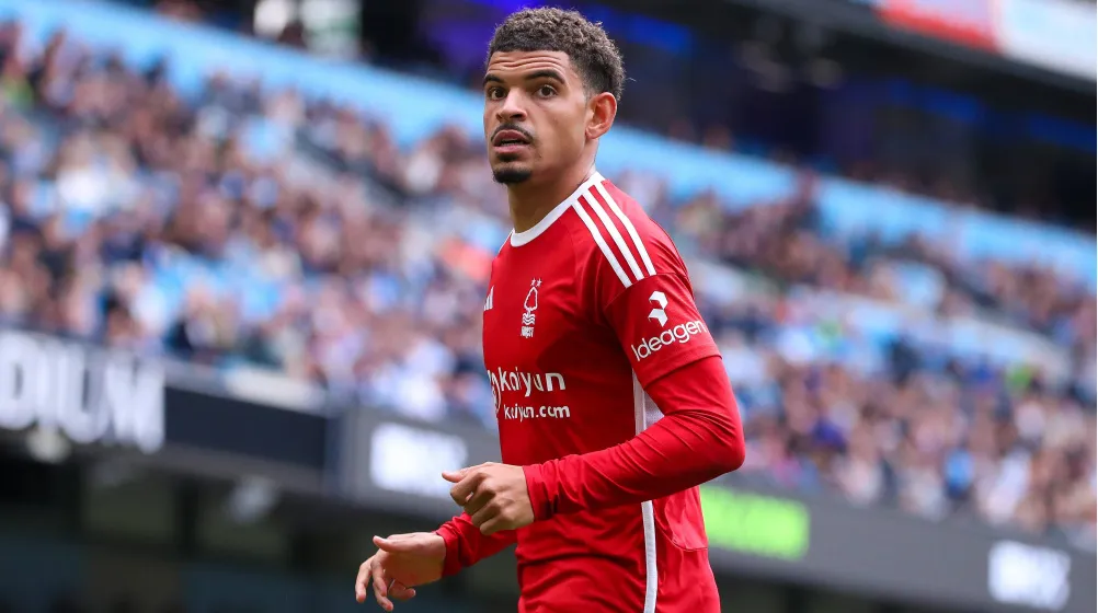 Gibbs-White Forest