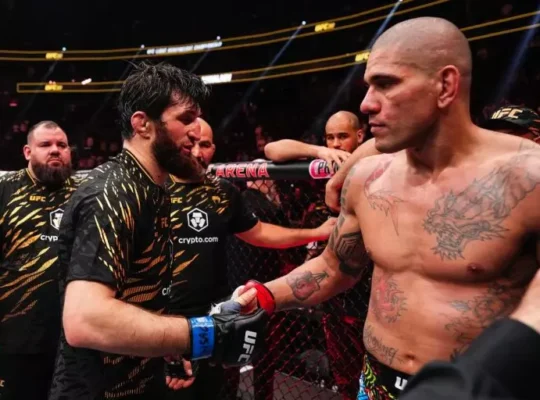 Alex Poatan x Magomed Ankalaev UFC 313