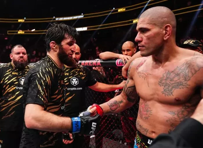 Alex Poatan x Magomed Ankalaev UFC 313