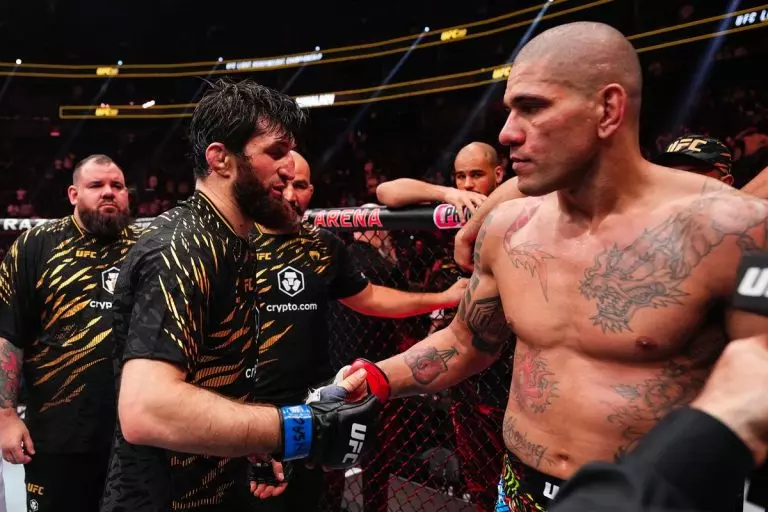 Alex Poatan x Magomed Ankalaev UFC 313
