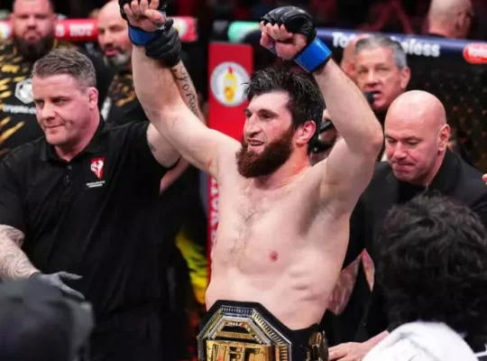 Magomed Ankalaev UFC 313