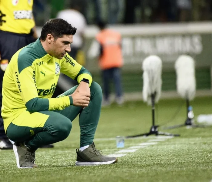 Abel Palmeiras