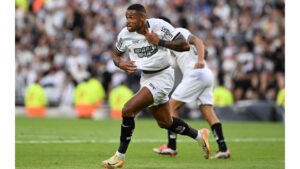 Junior Santos, Botafogo