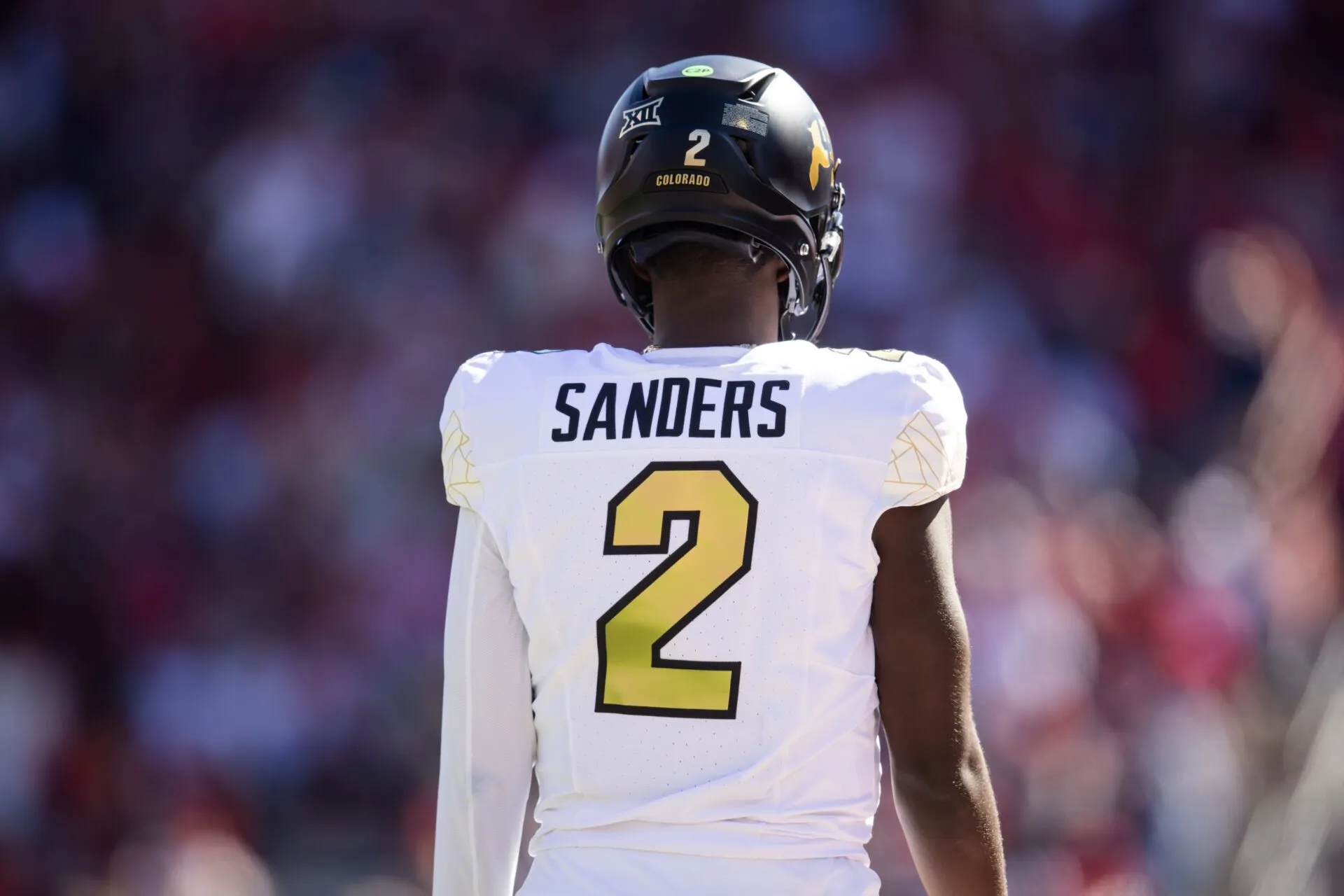 Sanders