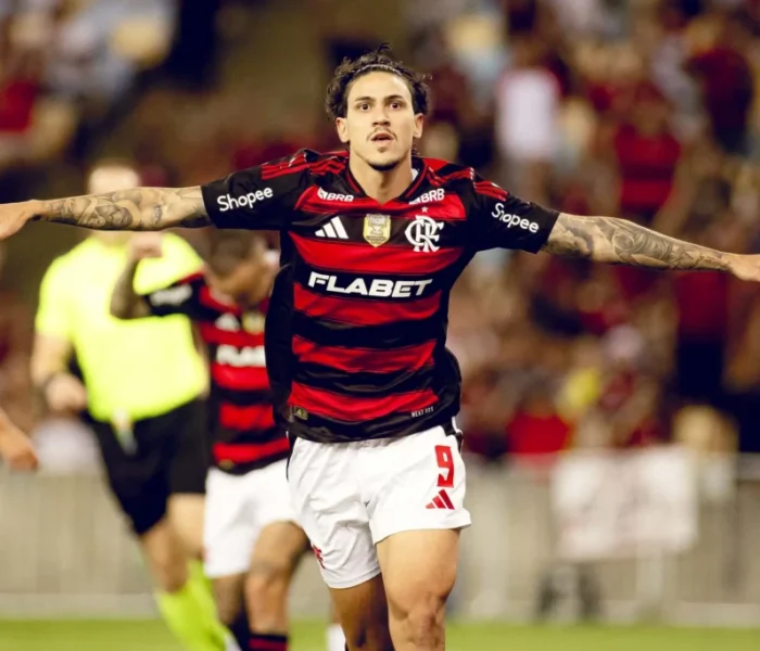 Pedro Flamengo