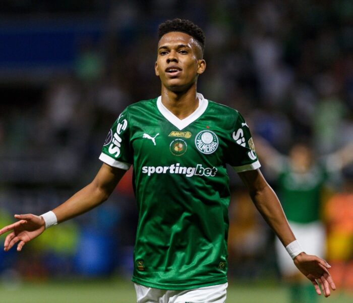Palmeiras Estevão