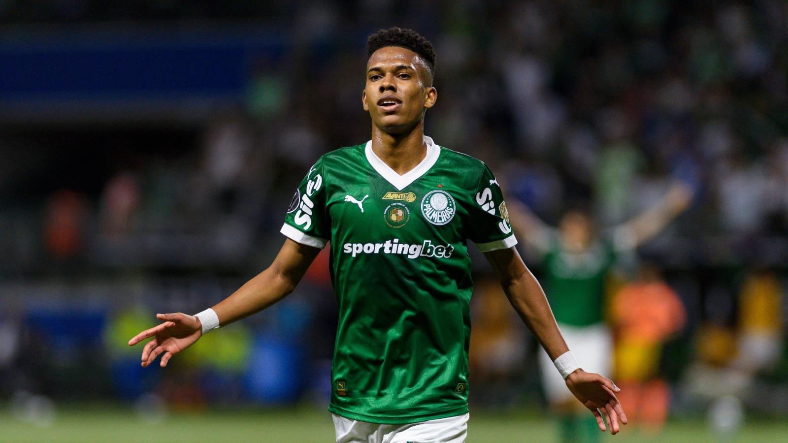 Palmeiras Estevão