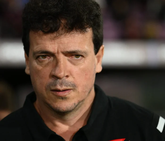 Fernando Diniz Vasco Brasileirão