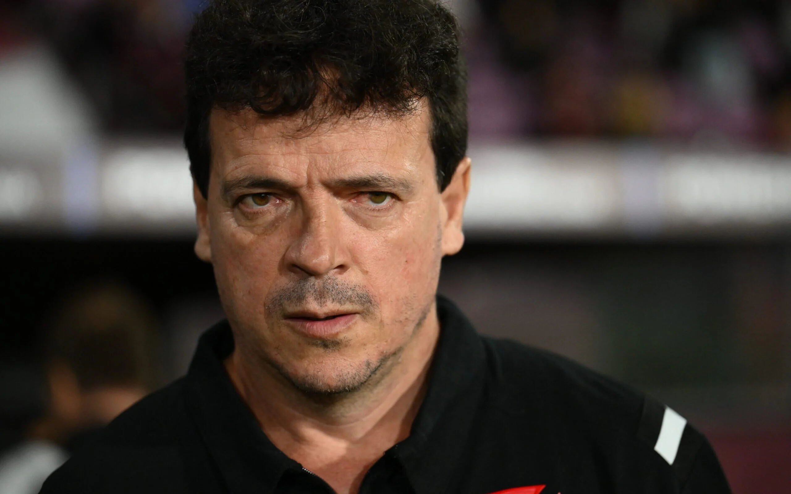 Fernando Diniz Vasco Brasileirão