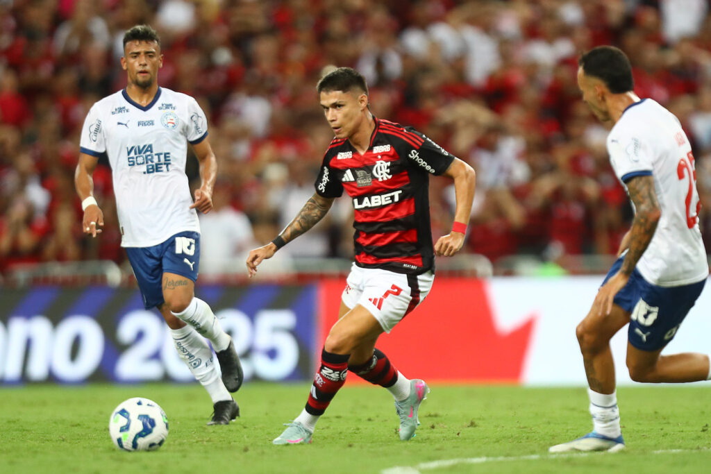 Luiz Araújo, Flamengo