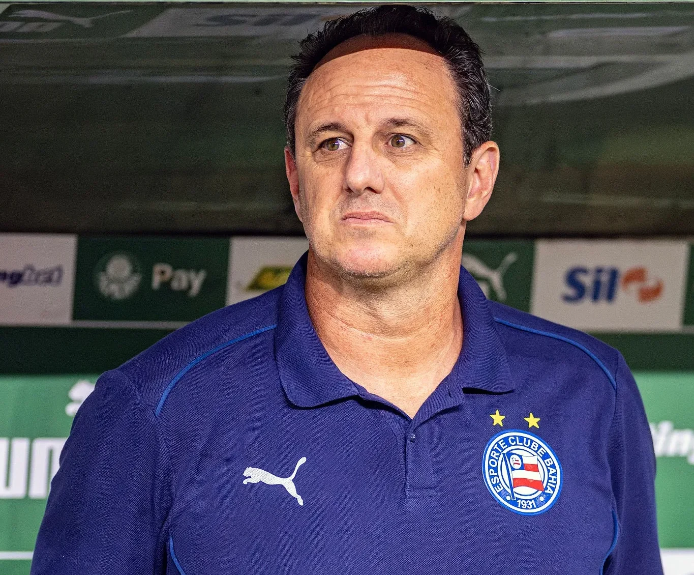 Rogério Ceni, Bahia