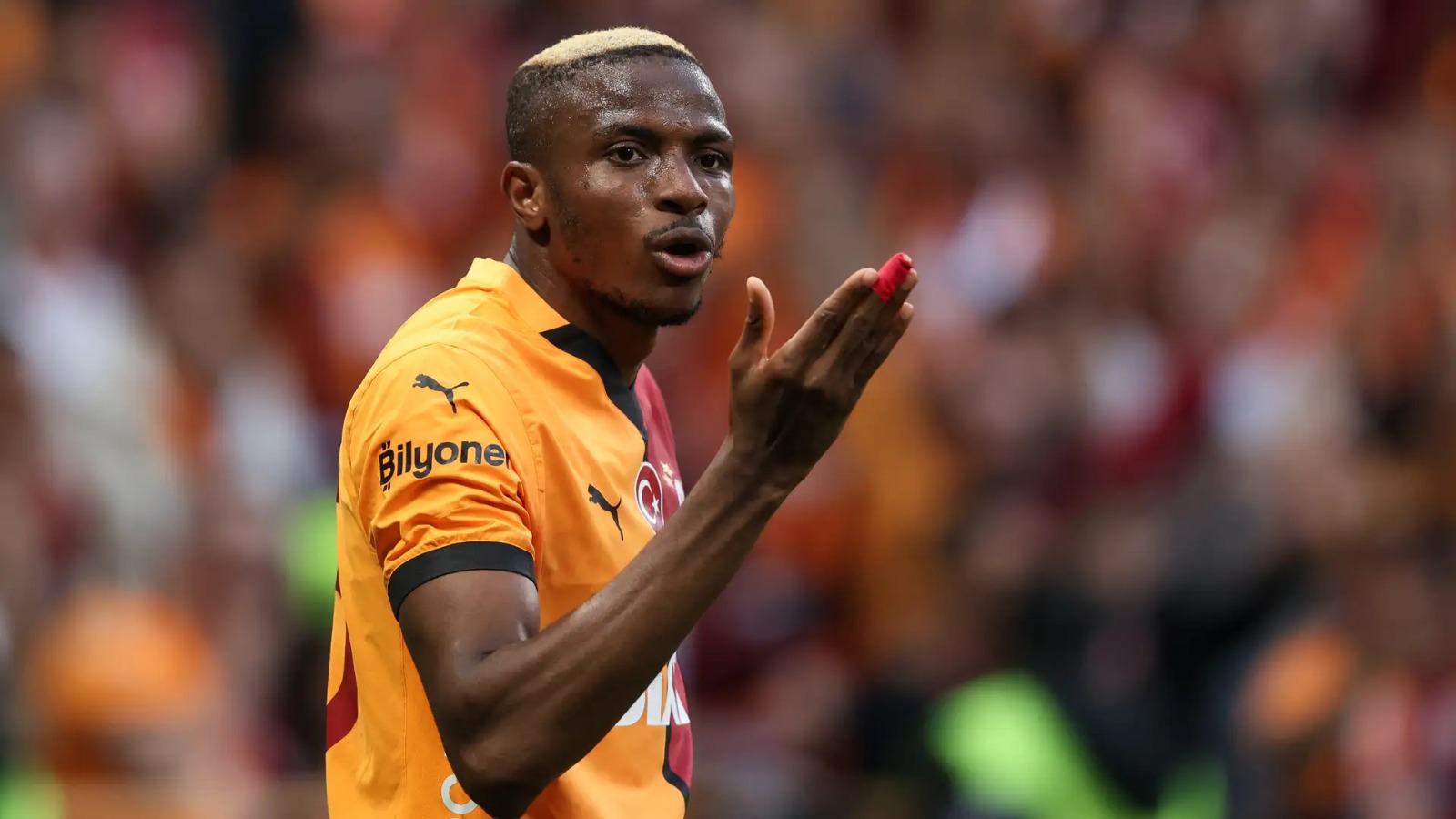 Manchester United Osimhen Zirkzee