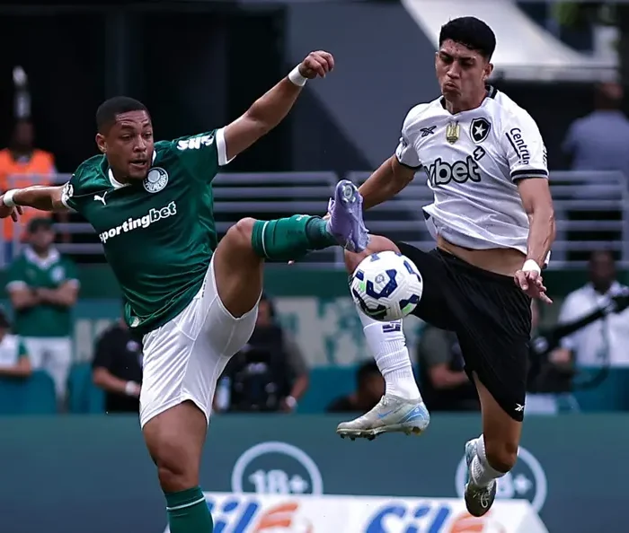 Palmeiras x Botafogo