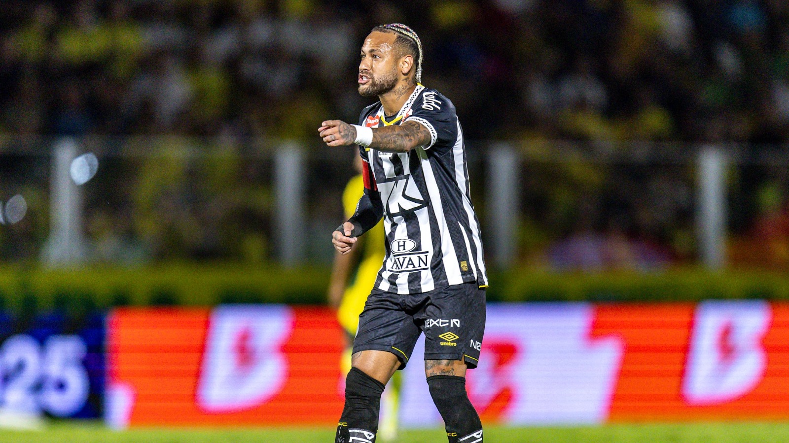 Santos Internacional
