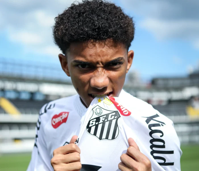 Robinho Junior, Santos