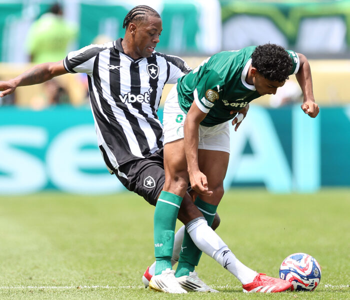 Palmeiras x Botafogo