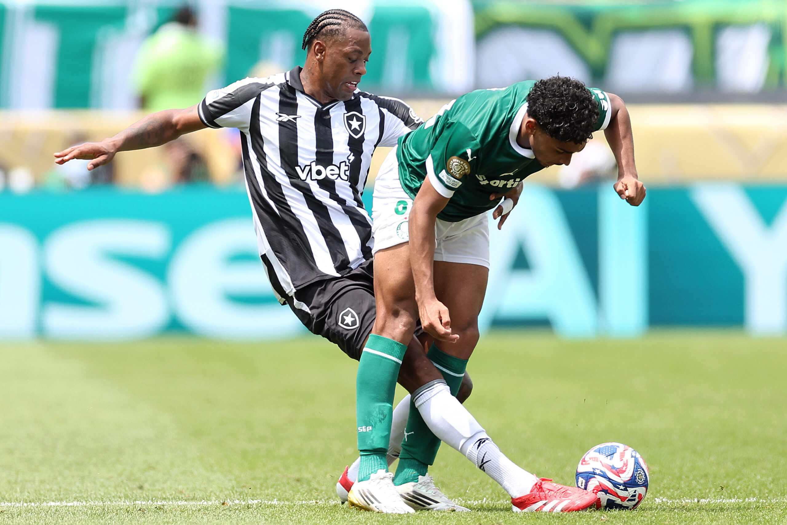 Palmeiras x Botafogo