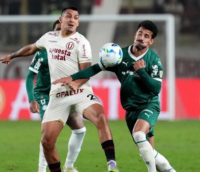 Palmeiras Universitario