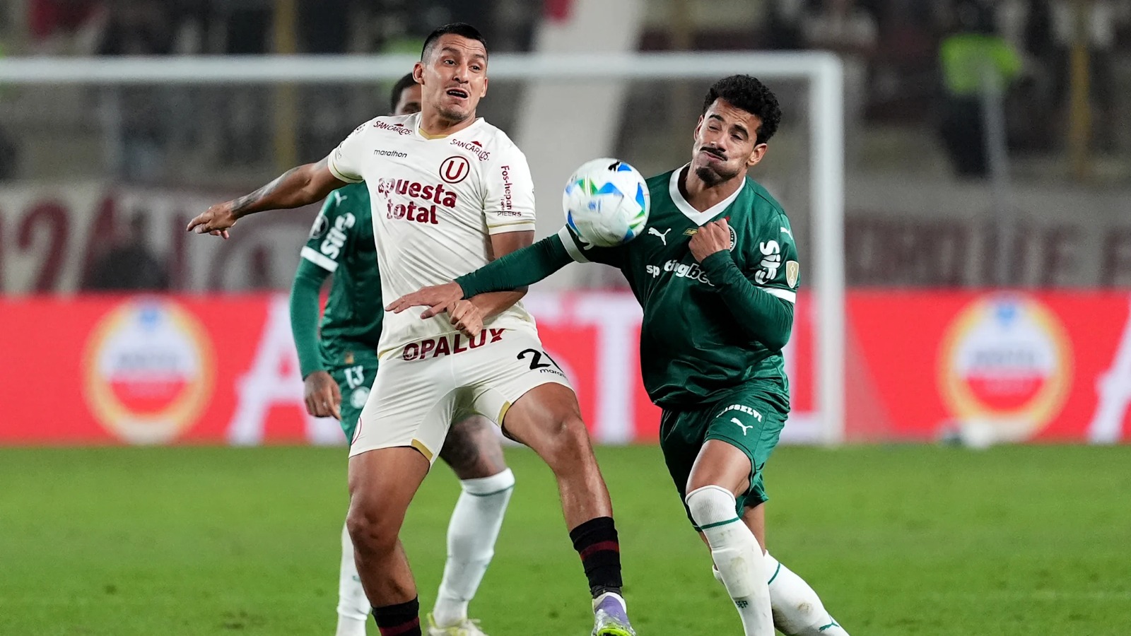 Palmeiras Universitario