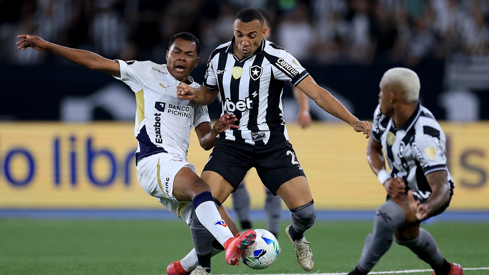 Botafogo LDU