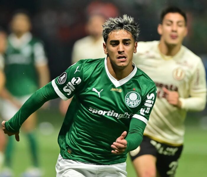Palmeiras Sport