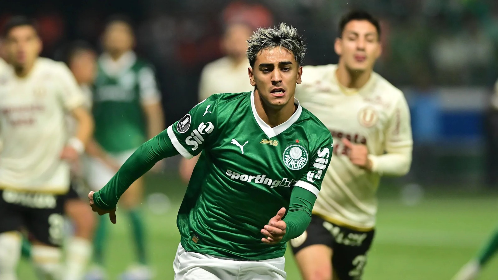 Palmeiras Sport