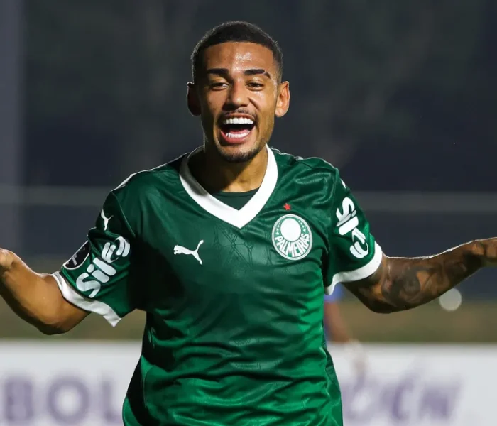Riquelme Fillipi, Palmeiras