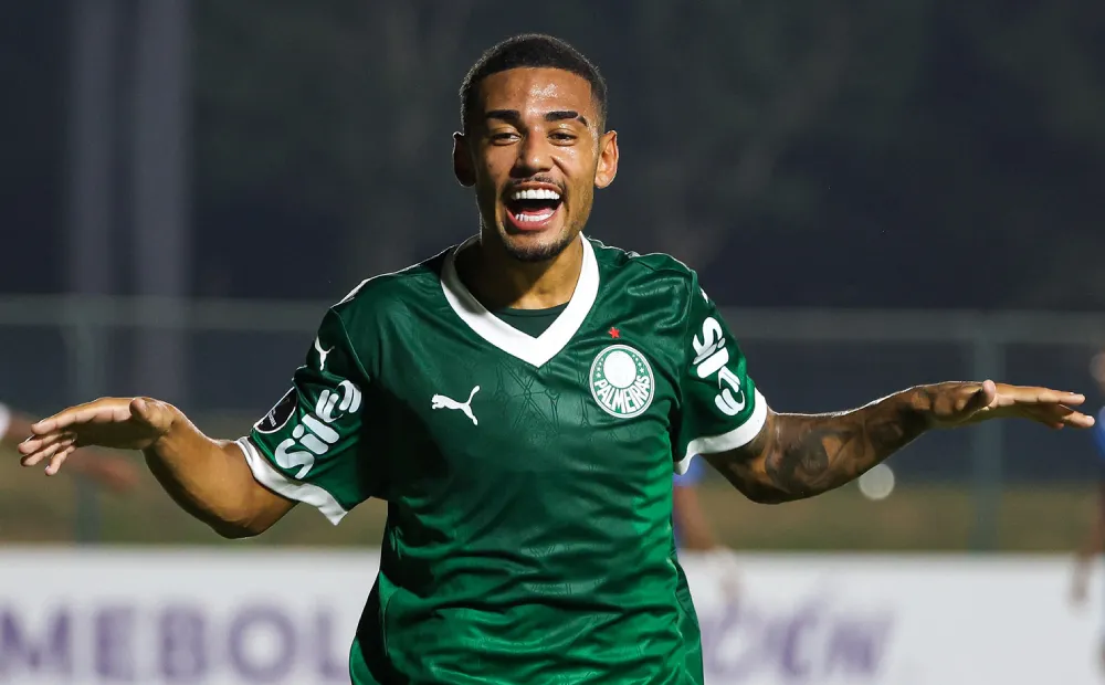 Riquelme Fillipi, Palmeiras