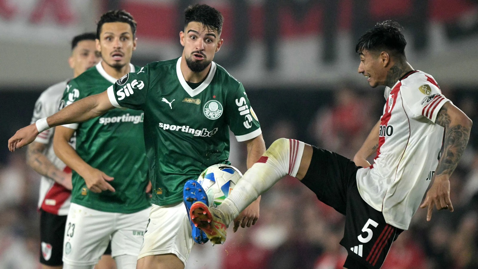 Palmeiras River