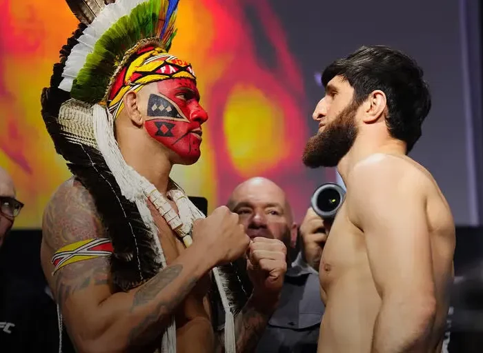 Alex Poatan x Magomed Ankalaev