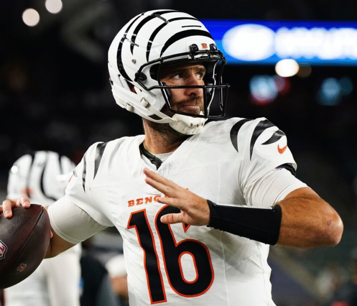 Joe Flacco NFL Bengals