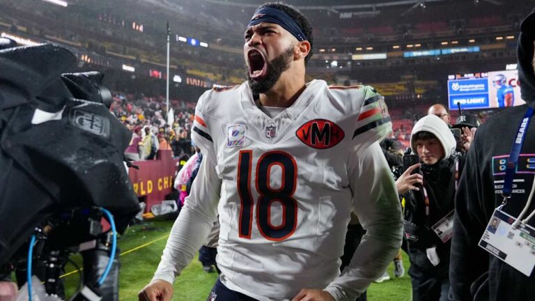 NFL: Confira a previa da Playmaker Brasil para a NFC Norte
