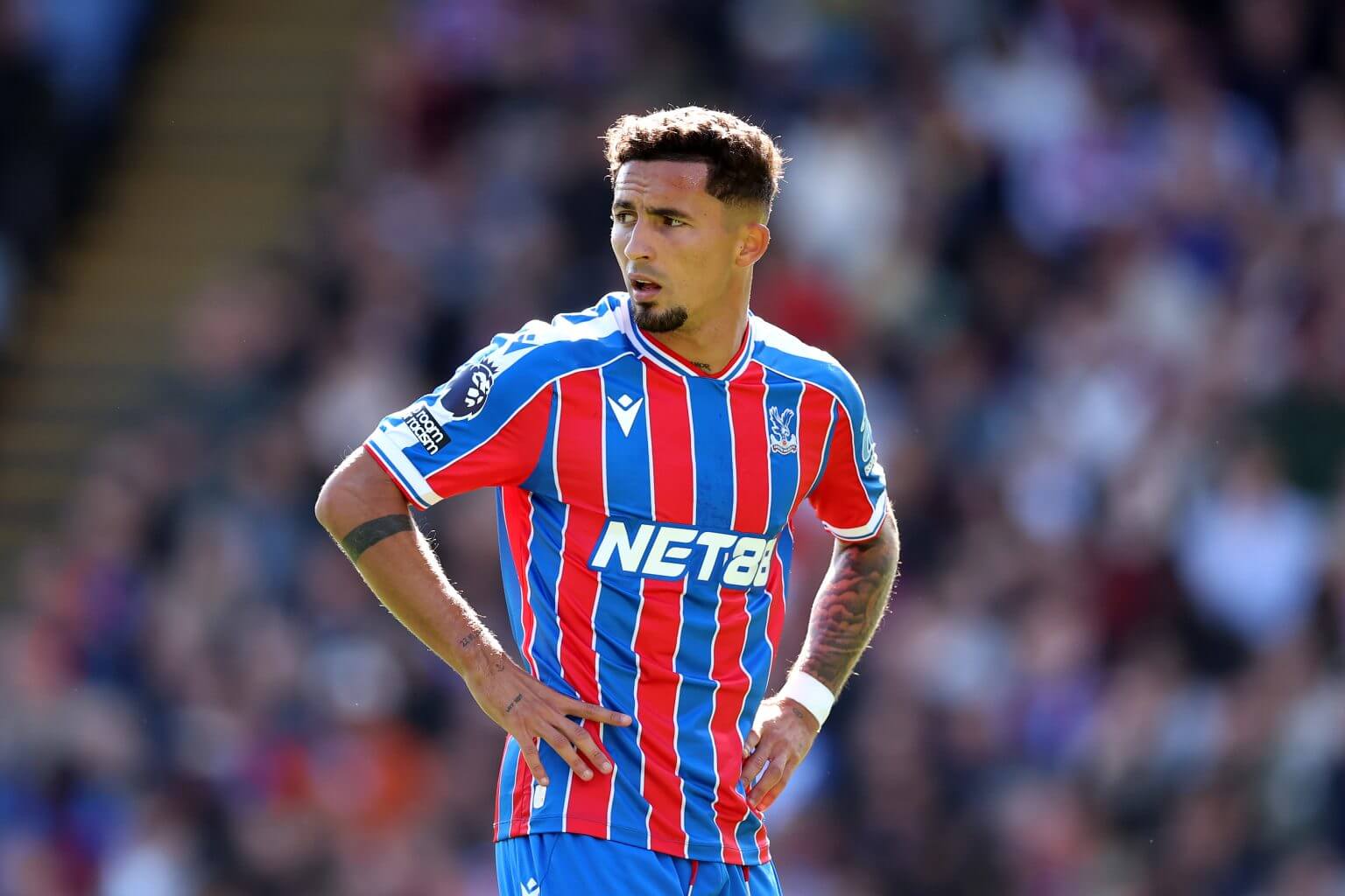 Pino Palace
