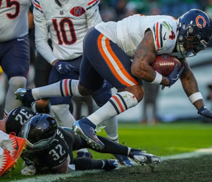 Bears