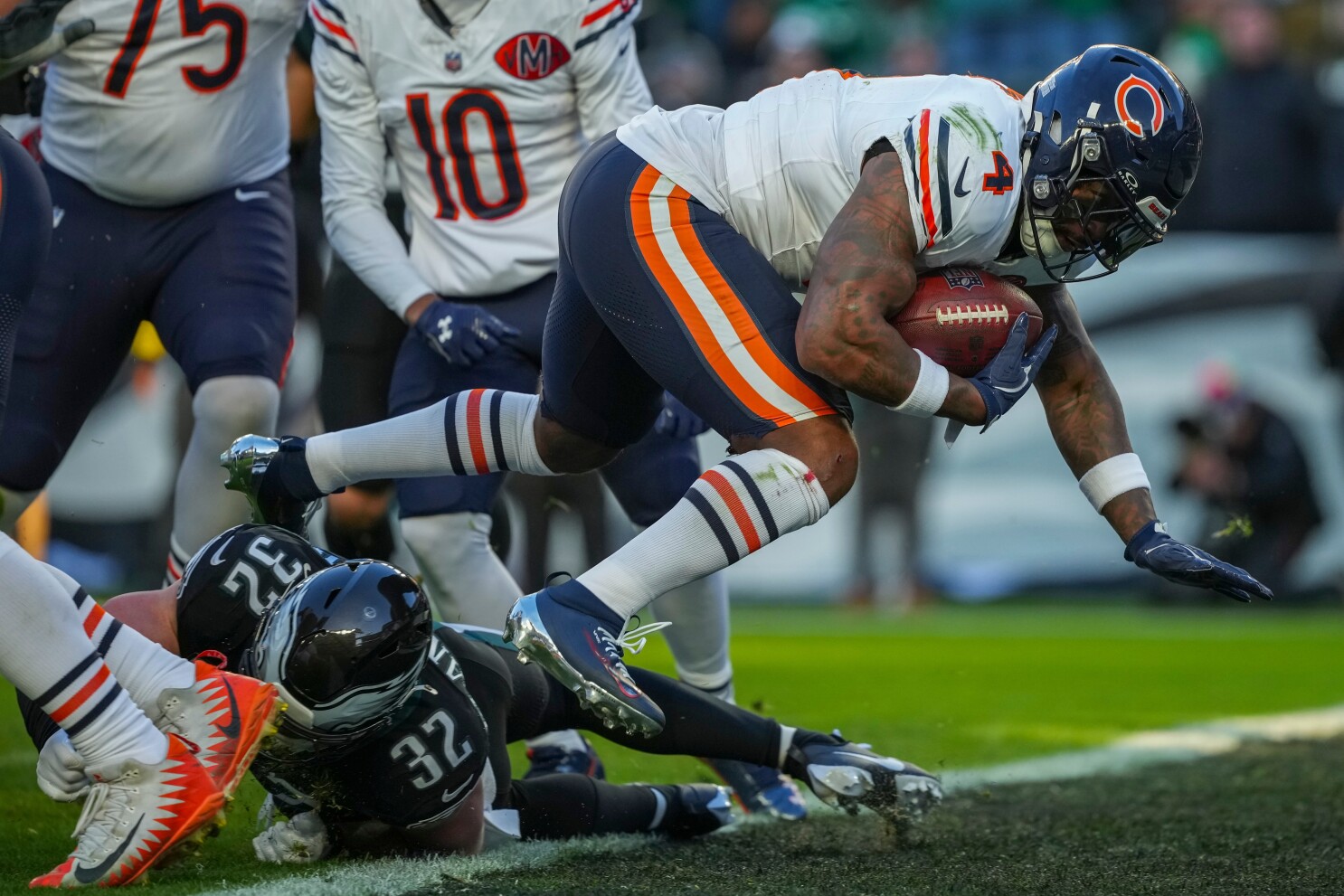 Bears