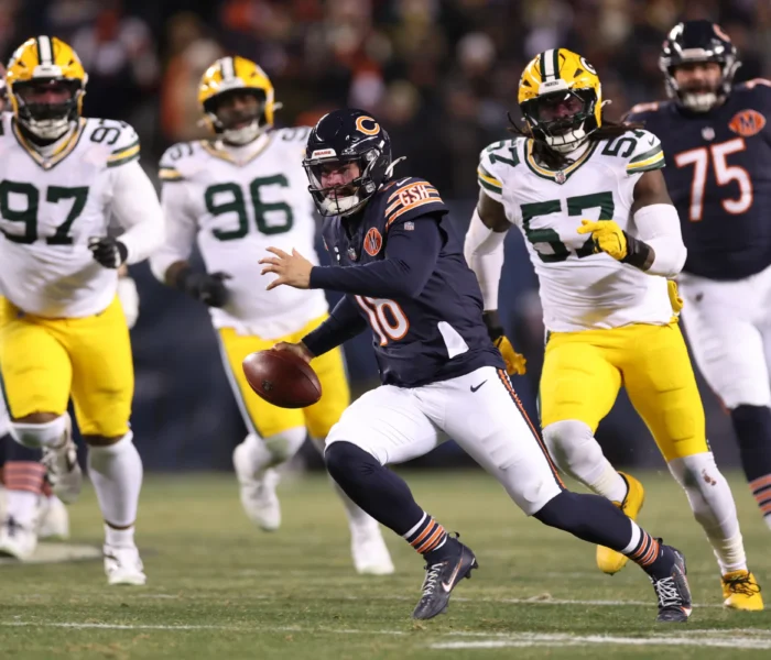 Bears