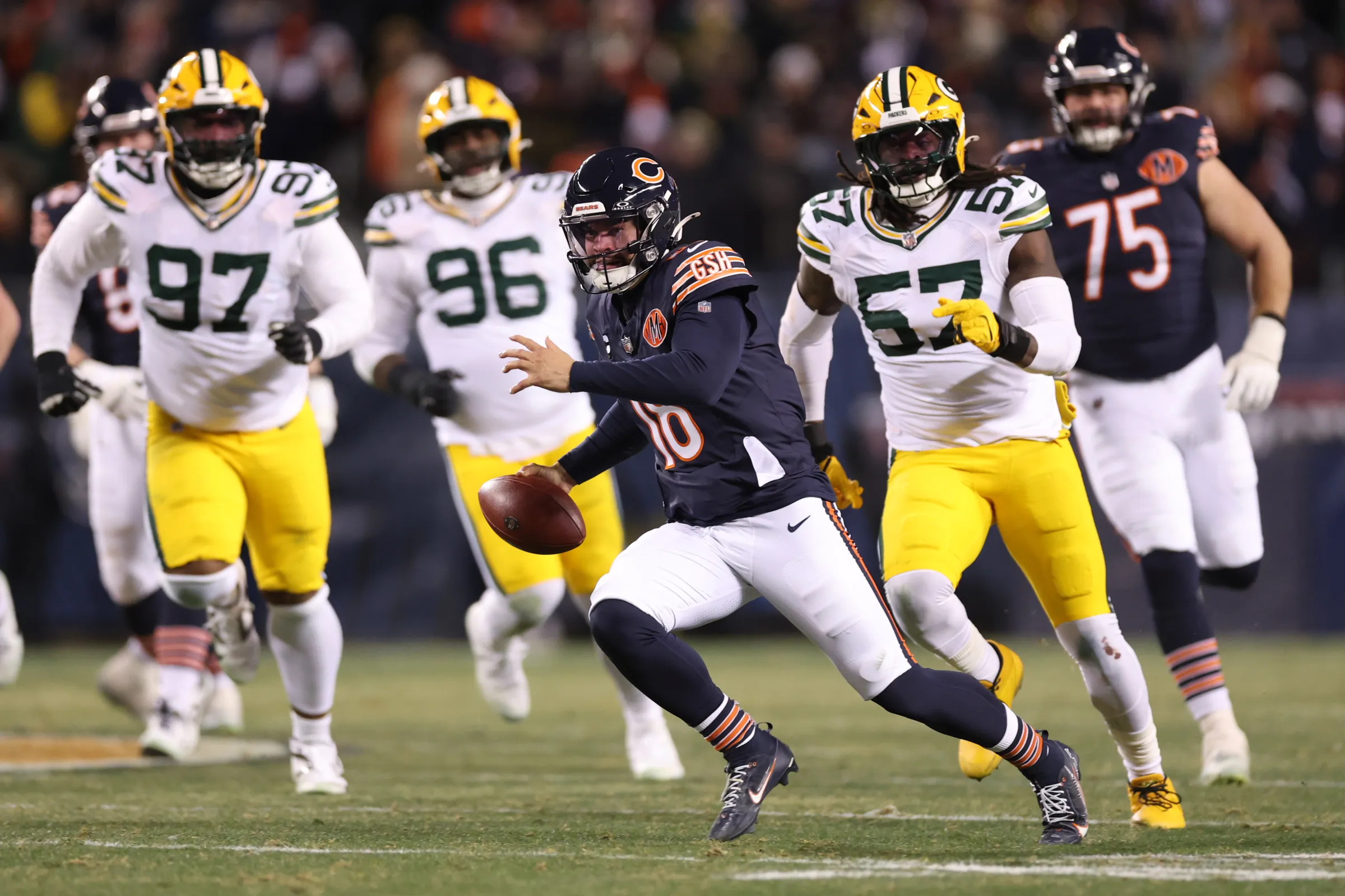 Bears