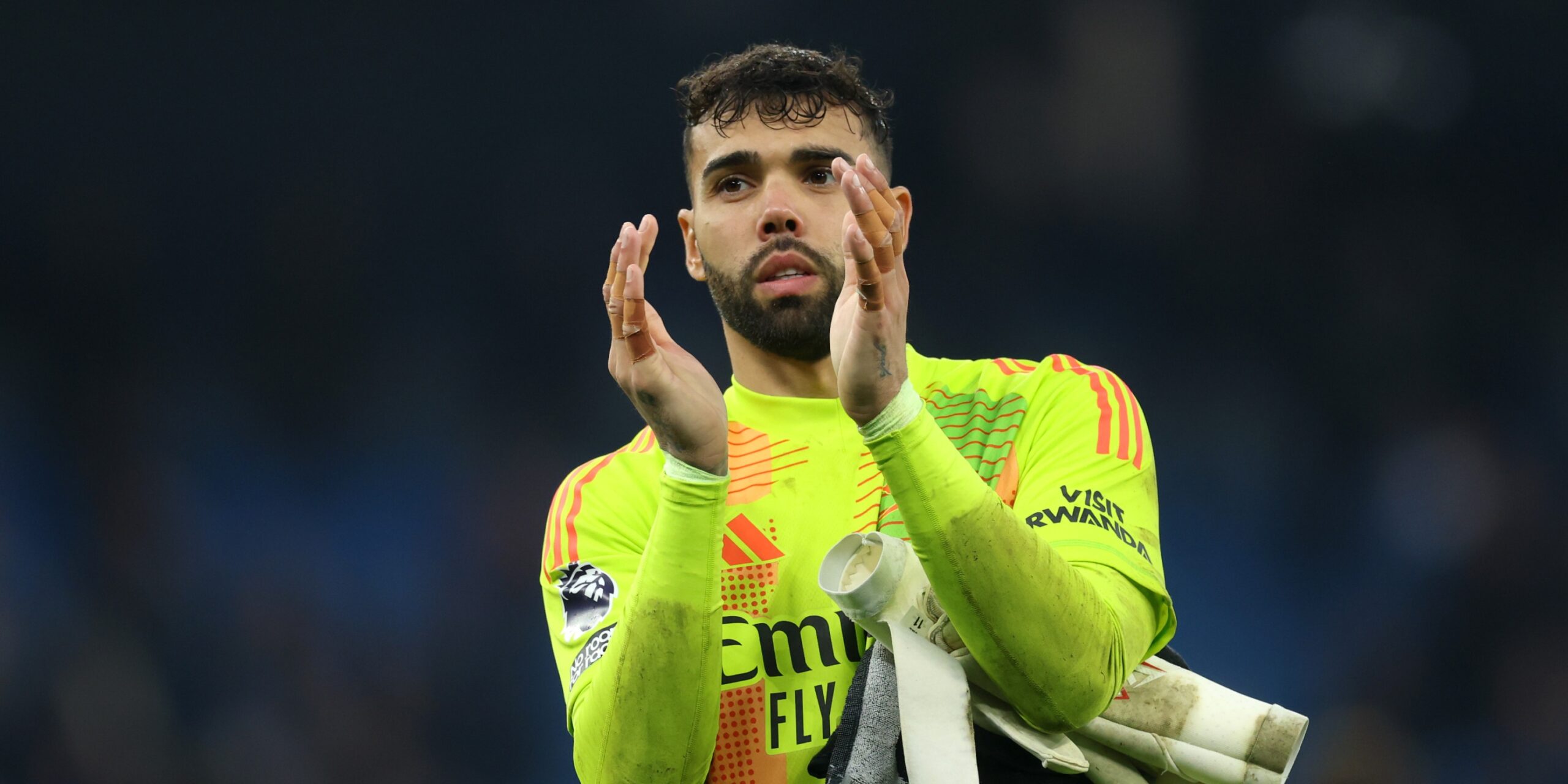 David Raya Arsenal