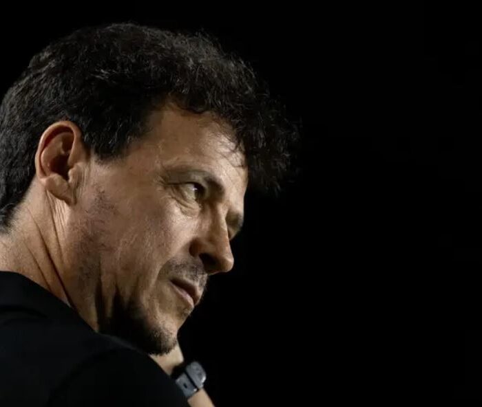 Fernando Diniz Vasco