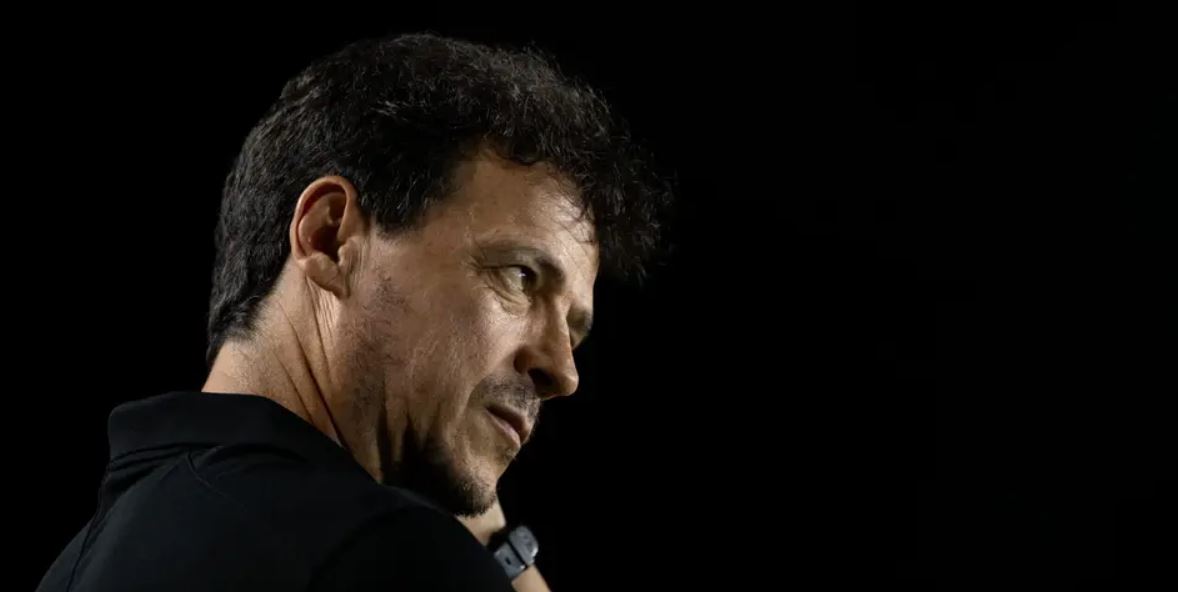 Fernando Diniz Vasco