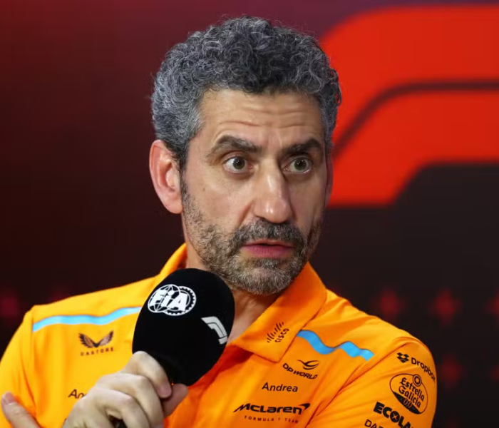 Andrea Stella Fórmula 1