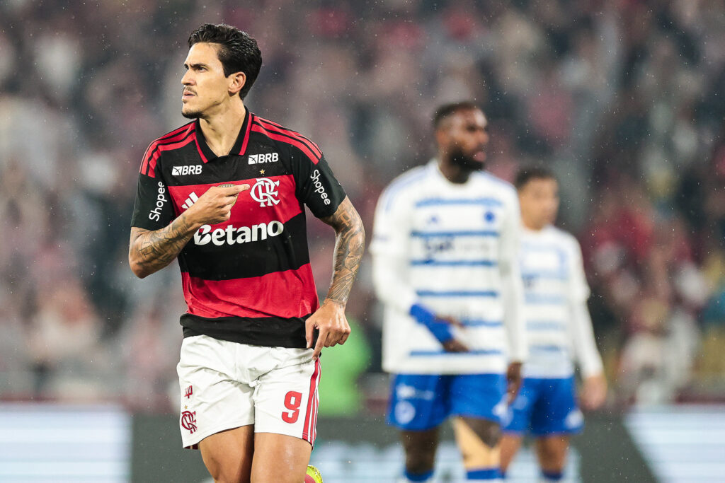 Pedro comemora o gol. Foto: Gilvan de Souza/Flamengo.