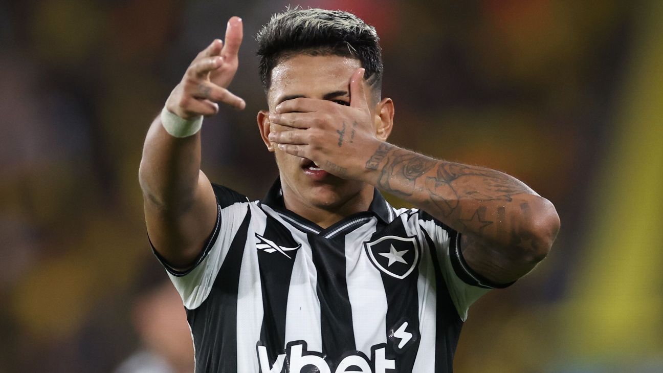 Botafogo Libertadores