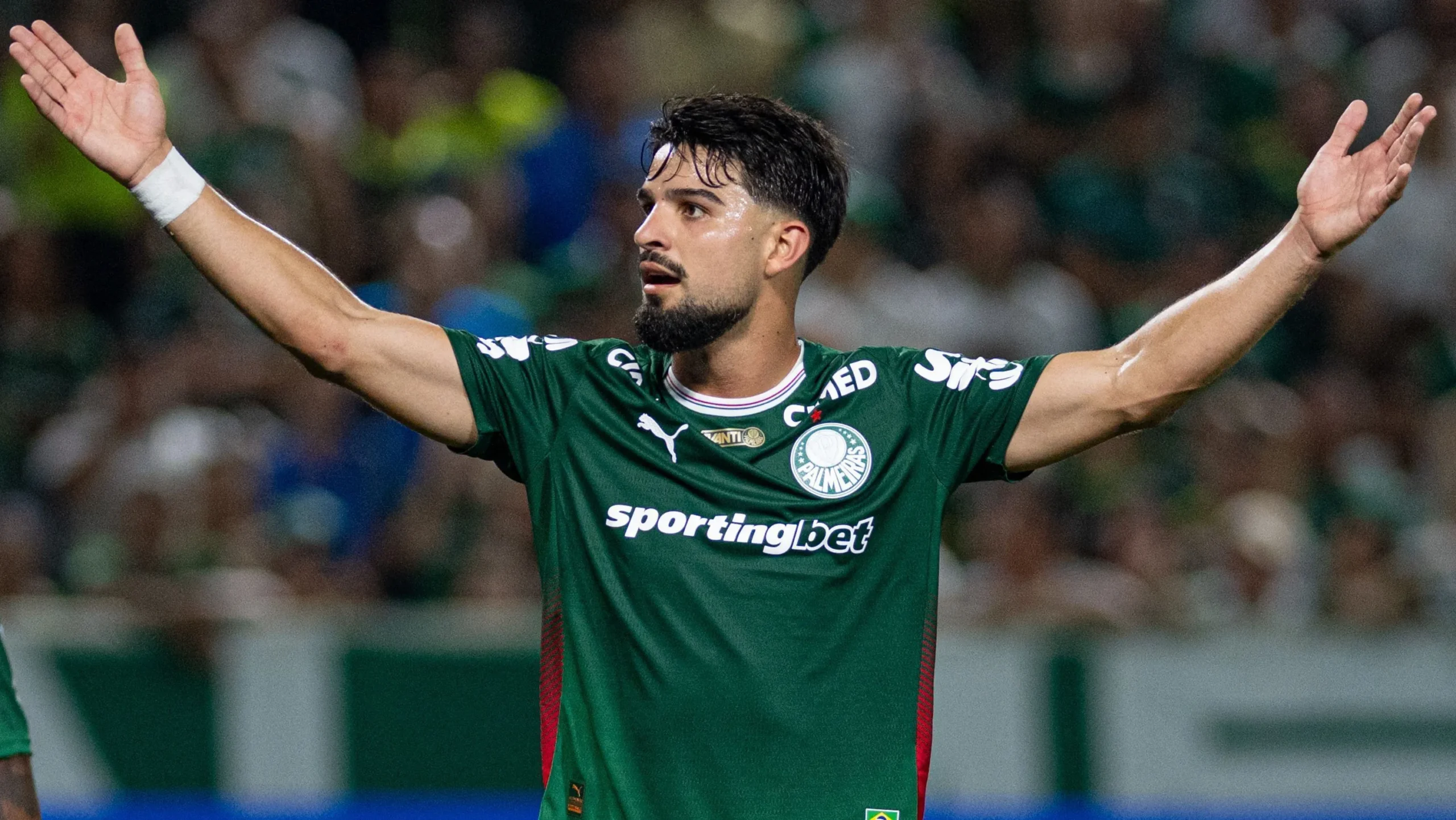 Palmeiras Flaco Lopez