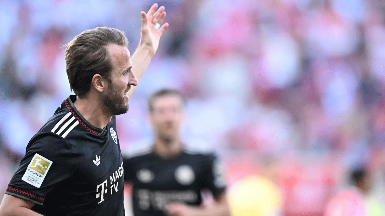Bayern Mainz Bundesliga